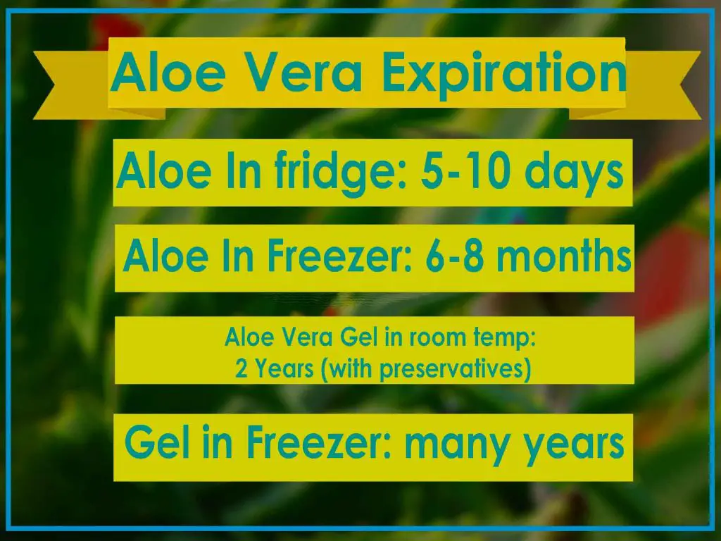 infographic on how long aloe vera gel lasts aloe expiration how long does it last infographic