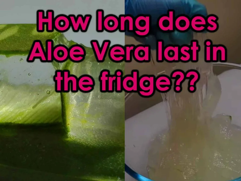 how long does aloe vera last in the fridge., image of aloe vera chunks and aloe vera gel