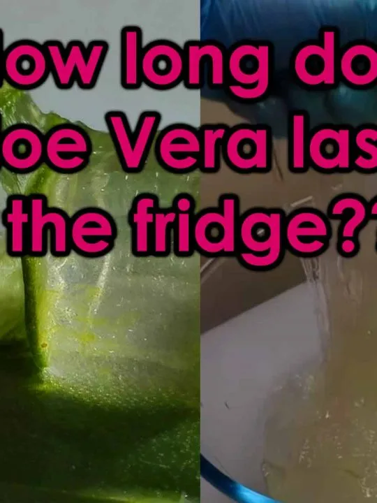 aloe vera in fridge. ion refrigerator. in freezer. how long time till it spoils and expires.